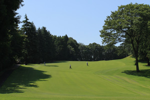 コース風景